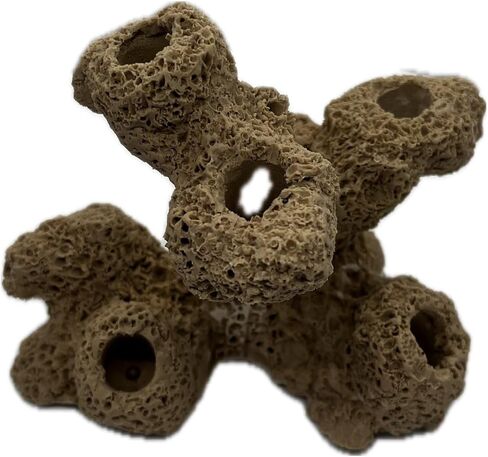 7 حفرة Torch Torch Coral Frag Plug Rack/Frag Rock for Live Coral Plud Ons for Reef Aquariums (Coralline Purple) in Kuwait