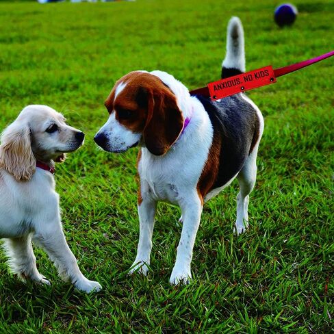 Funny Dog Leash Sleeve Anxious No Kids Dog Leash Wrap Sleeve Pet Birthday Gift (Anxious No Kids-YE Sleeve) in Saudi Arabia