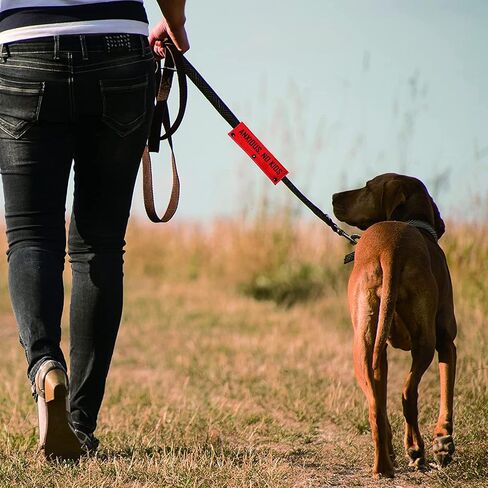 Funny Dog Leash Sleeve Anxious No Kids Dog Leash Wrap Sleeve Pet Birthday Gift (Anxious No Kids-YE Sleeve) in Saudi Arabia