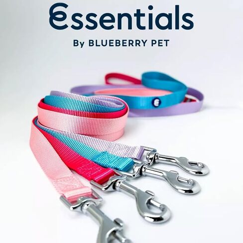 مقود كلب كلاسيكي متين من Blueberry Pet Essentials مكون من 21 لونًا مقاس 5 أقدام × 3/4 بوصة، أحمر داكن، متوسط، مقاود نايلون أساسية للكلاب in Kuwait