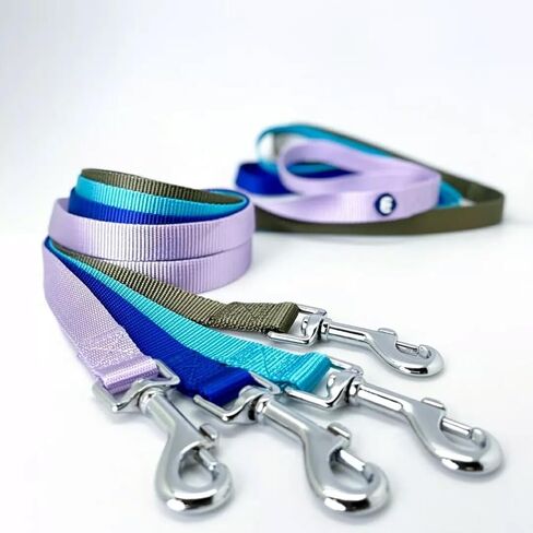 مقود كلب كلاسيكي متين من Blueberry Pet Essentials مكون من 21 لونًا مقاس 5 أقدام × 3/4 بوصة، أحمر داكن، متوسط، مقاود نايلون أساسية للكلاب in Kuwait