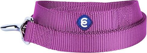 مقود كلب كلاسيكي متين من Blueberry Pet Essentials مكون من 21 لونًا مقاس 5 أقدام × 3/4 بوصة، أحمر داكن، متوسط، مقاود نايلون أساسية للكلاب in Kuwait