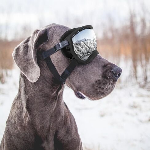 Dog Goggles for Large Dogs, UV Wind Dust Fog Protection, Soft Frame Adjustable Dog Sunglasses, Summer Driving & Winter Snow Eyewear, Tactical Pet Glasses with Elastic Strap (Black) in Saudi Arabia
