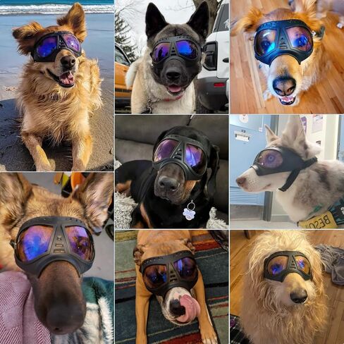 نظارات Petleso Dog للسلالة المتوسطة إلى الكبيرة | نظارة شمسية مضادة UV400 | حماية للعين المضاد للثلوج للرياح للمشي لمسافات طويلة والقيادة وركوب الدراجات | إطار ناعم مع الأشرطة غير القابلة للتعديل ، الأسود in Kuwait
