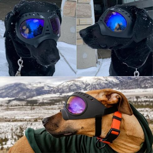 نظارات Petleso Dog للسلالة المتوسطة إلى الكبيرة | نظارة شمسية مضادة UV400 | حماية للعين المضاد للثلوج للرياح للمشي لمسافات طويلة والقيادة وركوب الدراجات | إطار ناعم مع الأشرطة غير القابلة للتعديل ، الأسود in Kuwait