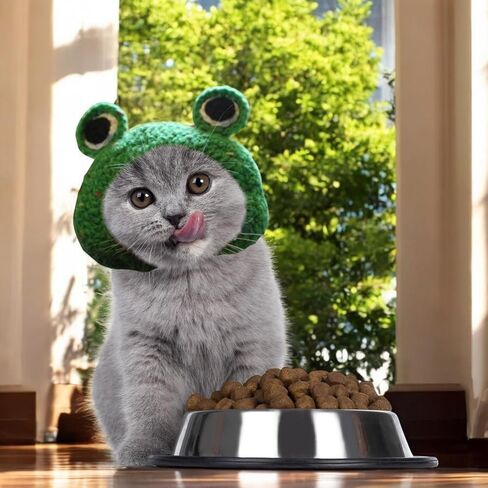 3pcs Hat for Cat Animal Costume Pack, Lion Head for Cats, Cat Panda Costumes, Frog Costume for Cats, Adjustable Washable Soft Small Pet Headwear Accessory, Costumes Pet Clothes (Lion, Panda, Frog) in Kuwait