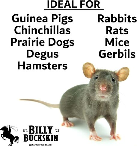 مضغ ألعاب لـ Chinchilla ، ألعاب كتلة الحمم البركانية لحيوانات الحيوانات الأليفة الصغيرة مثل الفئران ، الفئران ، الأرنب ، الهامستر ، ديغوس ، جيربيلس ، كتل الخفاف ، لعبة خنزير غينيا ، لعبة مضغ الأرنب من بيلي بوكسكين - حزمة من 8 in Kuwait