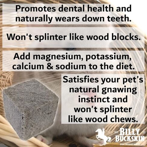 مضغ ألعاب لـ Chinchilla ، ألعاب كتلة الحمم البركانية لحيوانات الحيوانات الأليفة الصغيرة مثل الفئران ، الفئران ، الأرنب ، الهامستر ، ديغوس ، جيربيلس ، كتل الخفاف ، لعبة خنزير غينيا ، لعبة مضغ الأرنب من بيلي بوكسكين - حزمة من 8 in Kuwait