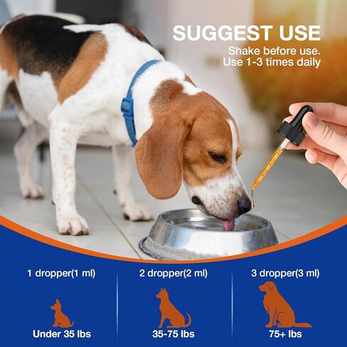Yeast Infection Treatment for Dogs - Natural Anti Yeast Drops, Ear & Skin Itch Relief, Allergy Symptom Relief, Reduces Inflammation, with Multivitamins Probiotics, 2 Oz in Saudi Arabia