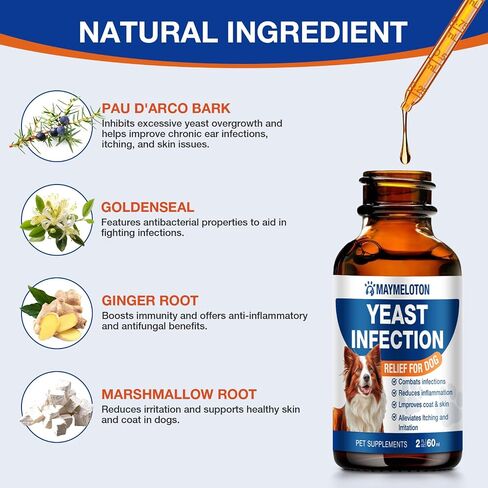 Yeast Infection Treatment for Dogs - Natural Anti Yeast Drops, Ear & Skin Itch Relief, Allergy Symptom Relief, Reduces Inflammation, with Multivitamins Probiotics, 2 Oz in Saudi Arabia