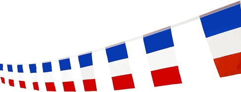 France Flag French Flag,100Feet/76PcsNational Country World Pennant Flags Banner,Party Decorations Supplies For,Bar,Indoor and outdoor flags,Intarnational Festival in Saudi Arabia
