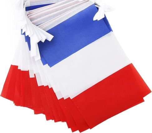 France Flag French Flag,100Feet/76PcsNational Country World Pennant Flags Banner,Party Decorations Supplies For,Bar,Indoor and outdoor flags,Intarnational Festival in Saudi Arabia