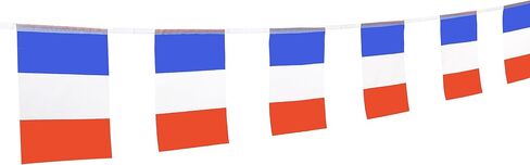 France Flag French Flag,100Feet/76PcsNational Country World Pennant Flags Banner,Party Decorations Supplies For,Bar,Indoor and outdoor flags,Intarnational Festival in Saudi Arabia