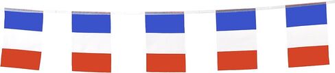 France Flag French Flag,100Feet/76PcsNational Country World Pennant Flags Banner,Party Decorations Supplies For,Bar,Indoor and outdoor flags,Intarnational Festival in Saudi Arabia