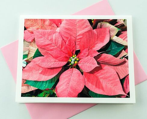 Blooming Flowers – Gold Daylilies – High End Photographic Heavy Smooth Note Cards 8 w/10 Colored Envelopes, Boxed Set (4.25"x 5.50") Blank Inside - Made in USA in Saudi Arabia