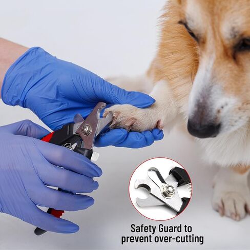 Ma Dreamiex Pet Hair Radival Glove for Cats & Dogs ، تم ترقيته حديثًا قابلة لإزالة الشعر الكهربائي القابل لإزالة الشعر الأليفة القفاز المحترف ، مجموعة من 4 قطع مع مقص الأظافر ، ملف معدني ، مشط. in Saudi Arabia