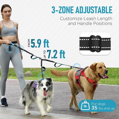 Heavy Duty Hands Free Double Dog Leash for Large Medium Breeds, 6-8ft Reflective Strong Nylon Bungee Leash with No-Tangle Design, Wide Waist Belt, 4 Padded Handles in Saudi Arabia