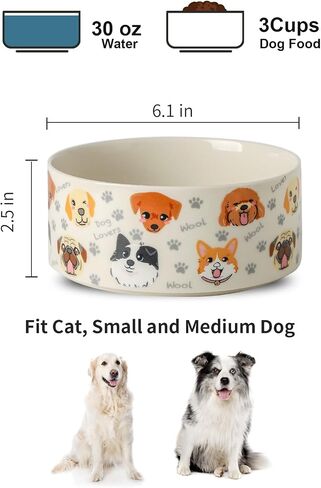 Ceramic Dog Bowls Set of 2, Pet Cat Dog Food Bowls Water Bowl with Cute Pattern, 5.1 inch Dog Dishes for Small Size Dog and Cat, White in Kuwait