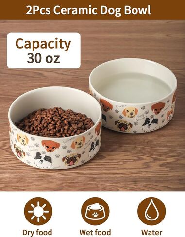 Ceramic Dog Bowls Set of 2, Pet Cat Dog Food Bowls Water Bowl with Cute Pattern, 5.1 inch Dog Dishes for Small Size Dog and Cat, White in Kuwait