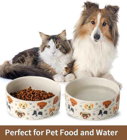 Ceramic Dog Bowls Set of 2, Pet Cat Dog Food Bowls Water Bowl with Cute Pattern, 5.1 inch Dog Dishes for Small Size Dog and Cat, White in Kuwait