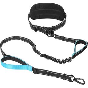 Hands Free Leash for 2 Large Dogs, No Tangle Waist Walking Bungee Leash, 6-8 FT Double Dog Leashes(50-150 lbs) in Saudi Arabia