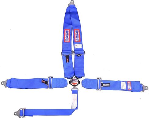 RJS Racing Equipment 1029304 Harness System in Kuwait