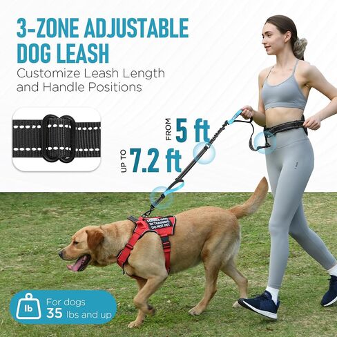 Heavy Duty Hands Free Double Dog Leash for Large Medium Breeds, 6-8ft Reflective Strong Nylon Bungee Leash with No-Tangle Design, Wide Waist Belt, 4 Padded Handles in Saudi Arabia