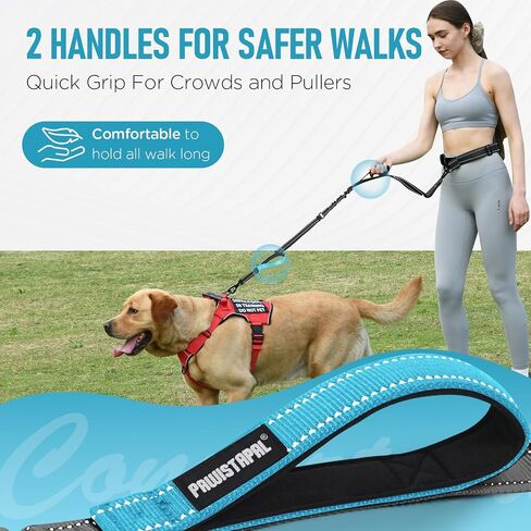 Heavy Duty Hands Free Double Dog Leash for Large Medium Breeds, 6-8ft Reflective Strong Nylon Bungee Leash with No-Tangle Design, Wide Waist Belt, 4 Padded Handles in Saudi Arabia