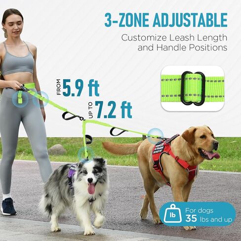 Heavy Duty Hands Free Double Dog Leash for Large Medium Breeds, 6-8ft Reflective Strong Nylon Bungee Leash with No-Tangle Design, Wide Waist Belt, 4 Padded Handles in Saudi Arabia
