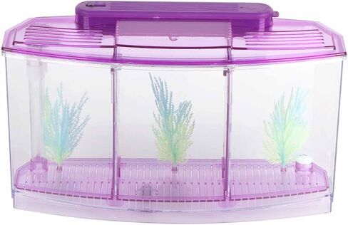 2 Betta Fish Tank with Divider, Aquarium Fish LED Acrylic Three Divisions Breeding Isolation Box for Small Fishes Aquarium Fish () in Saudi Arabia