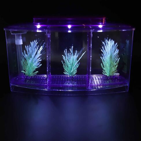2 Betta Fish Tank with Divider, Aquarium Fish LED Acrylic Three Divisions Breeding Isolation Box for Small Fishes Aquarium Fish () in Saudi Arabia