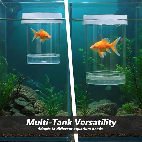 Breeder Box for Fish Tank, Acrylic Aquarium Divider Breeding Box, Floating Mesh Isolation Hatchery Incubator, Guppies Fishes Live Hatchery, Betta Fish Breeding Boxes, Baby Fishes Tank Separator in Saudi Arabia