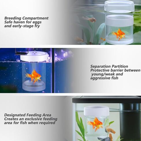 Breeder Box for Fish Tank, Acrylic Aquarium Divider Breeding Box, Floating Mesh Isolation Hatchery Incubator, Guppies Fishes Live Hatchery, Betta Fish Breeding Boxes, Baby Fishes Tank Separator in Saudi Arabia