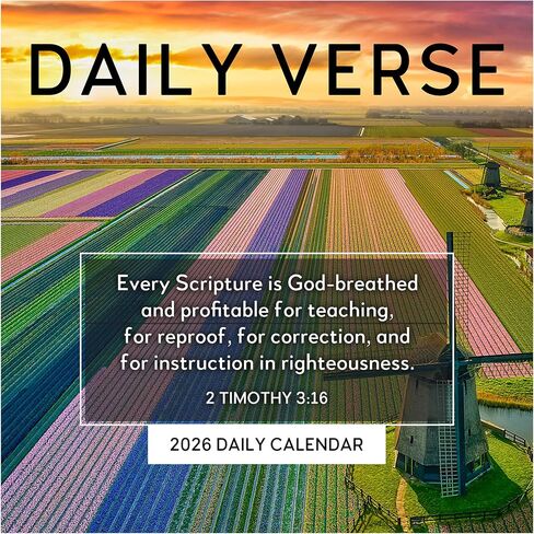 TF Publishing 2026 Anti Affirmations/Daily Sarcasm Daily Desktop Calendar - Home & Office Organization - Small Desk Calendar 2026 w/Full-Color Tear-Off Pages & Standing Cardboard Easel - 5.25x5.25in in Saudi Arabia