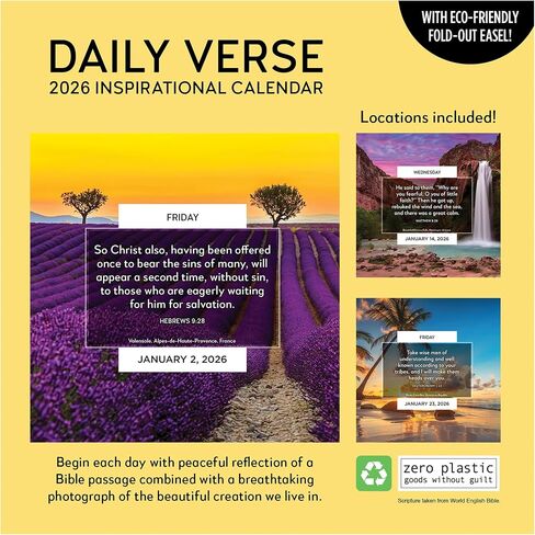 TF Publishing 2026 Anti Affirmations/Daily Sarcasm Daily Desktop Calendar - Home & Office Organization - Small Desk Calendar 2026 w/Full-Color Tear-Off Pages & Standing Cardboard Easel - 5.25x5.25in in Saudi Arabia