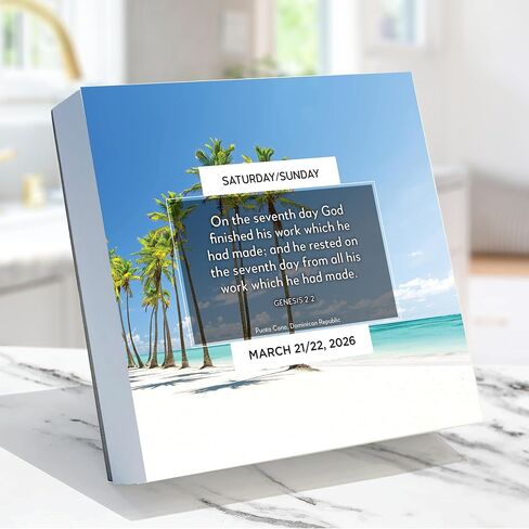 TF Publishing 2026 Anti Affirmations/Daily Sarcasm Daily Desktop Calendar - Home & Office Organization - Small Desk Calendar 2026 w/Full-Color Tear-Off Pages & Standing Cardboard Easel - 5.25x5.25in in Saudi Arabia