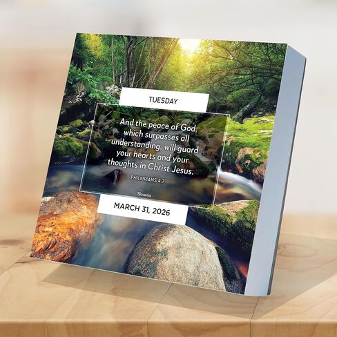 TF Publishing 2026 Anti Affirmations/Daily Sarcasm Daily Desktop Calendar - Home & Office Organization - Small Desk Calendar 2026 w/Full-Color Tear-Off Pages & Standing Cardboard Easel - 5.25x5.25in in Saudi Arabia