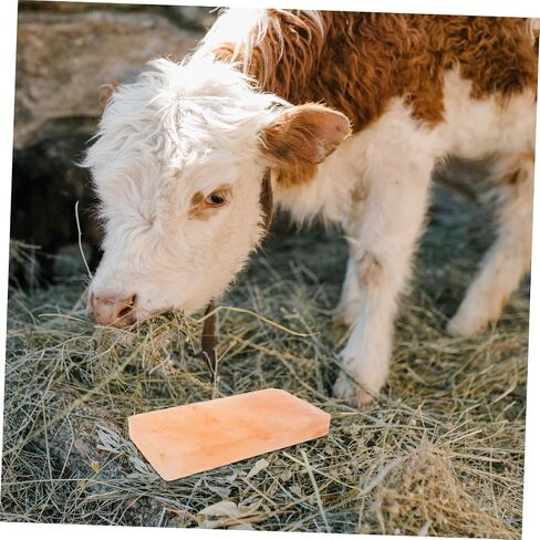 GANAZONO Horse Salt Lick Block Farm Animals Salt Licking for Deer Cattle Nutrition in Saudi Arabia