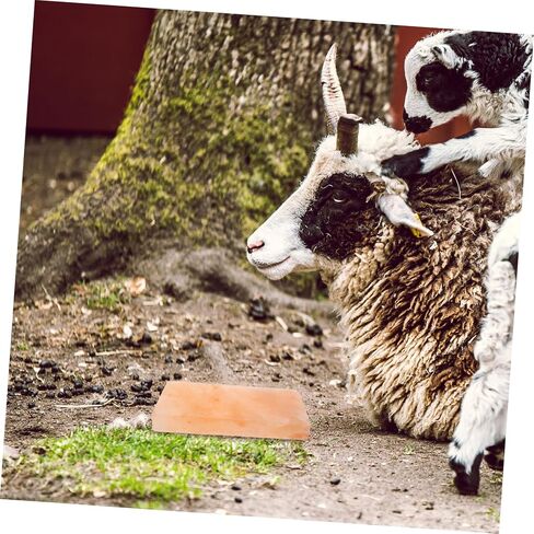 UPKOCH Creative Livestock Salt Pets Lick Salt Block Natural for Farm Animals Easy Digestion in Saudi Arabia