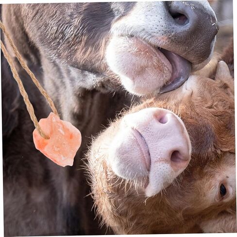 MERRYHAPY 4pcs Pink Salt Lick Blocks for Cattle Deer Mineral Salt Blocks for Livestock Feeding for Deer in Saudi Arabia