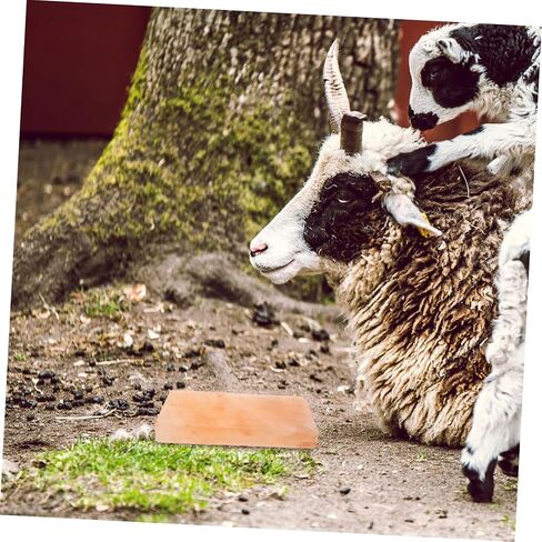 POPETPOP Salt Lick Block for Cattle Sheep and Other Animals 1 Piece Mineral-Rich Licking Salt for Improved Digestion and Nutrition Block for Pets in Saudi Arabia
