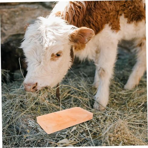 POPETPOP Salt Lick Block for Cattle Sheep and Other Animals 1 Piece Mineral-Rich Licking Salt for Improved Digestion and Nutrition Block for Pets in Saudi Arabia