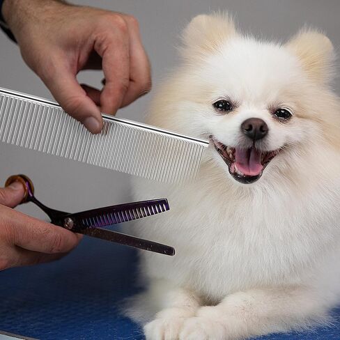 12 Pcs Stainless Steel Dog & Cat Comb, 7.48 Inch Metal Grooming Tool for Removing Knots, Long and Short Haired Pets Including Dogs, Cats & Others in Saudi Arabia