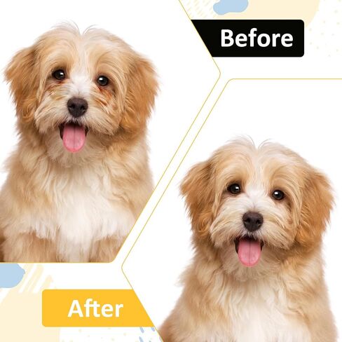 3PCS Pet Grooming Comb, Double-Head Plastic Grooming Comb, Soft Bristles Eye Cleaning Brush for Dogs, Puppies, and Cats, Facial Brush for Gently Removing Tear Stains, Mucus, Crusts, Boogers and Fleas in Saudi Arabia