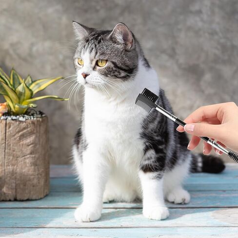 3PCS Pet Grooming Comb, Double-Head Plastic Grooming Comb, Soft Bristles Eye Cleaning Brush for Dogs, Puppies, and Cats, Facial Brush for Gently Removing Tear Stains, Mucus, Crusts, Boogers and Fleas in Saudi Arabia