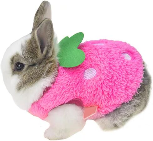 ANIAC Bunny Clothes for Rabbits Warm Kitten Vest Fleece XXXS Dog Shirt Cozy T-Shirt for Bunny Guinea Pig Ferret Puppy Mini Dog and Small Animals (2S,Red) in Saudi Arabia