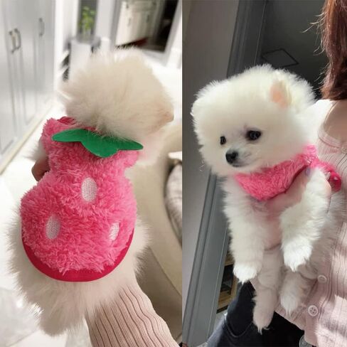 ANIAC Bunny Clothes for Rabbits Warm Kitten Vest Fleece XXXS Dog Shirt Cozy T-Shirt for Bunny Guinea Pig Ferret Puppy Mini Dog and Small Animals (2S,Red) in Saudi Arabia