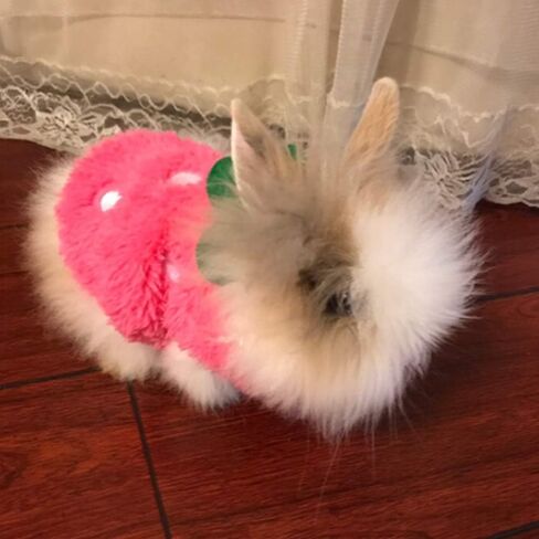 ANIAC Bunny Clothes for Rabbits Warm Kitten Vest Fleece XXXS Dog Shirt Cozy T-Shirt for Bunny Guinea Pig Ferret Puppy Mini Dog and Small Animals (2S,Red) in Saudi Arabia
