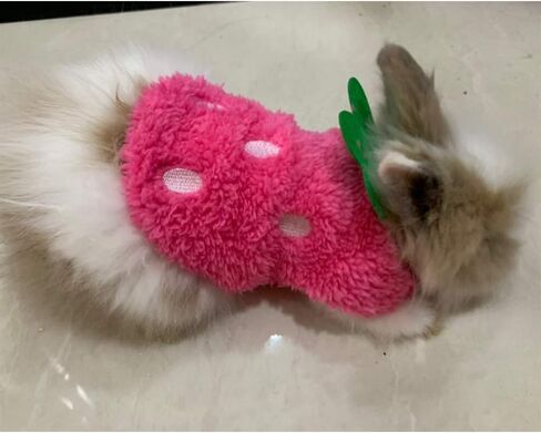 ANIAC Bunny Clothes for Rabbits Warm Kitten Vest Fleece XXXS Dog Shirt Cozy T-Shirt for Bunny Guinea Pig Ferret Puppy Mini Dog and Small Animals (2S,Red) in Saudi Arabia