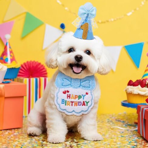 زي عيد ميلاد القط ، زرقاء كات مريلة وقبعة عيد ميلاد مع أرقام ذهبية ، عيد ميلاد هريرة باندانا الزي مريلة لزخارف عيد ميلاد الحيوانات الأليفة in Kuwait